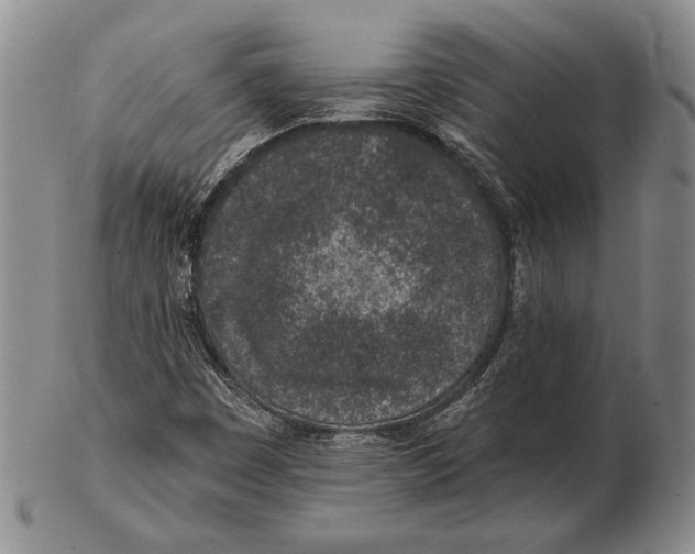 X0000102361449200808221705