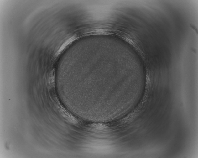 X0000102361450200808221705