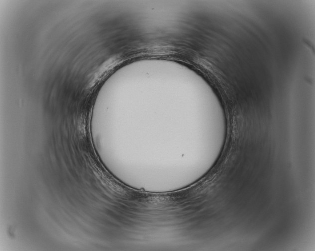 X0000102361451200808221705