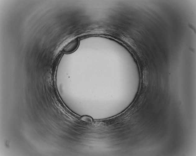 X0000102361452200808221705