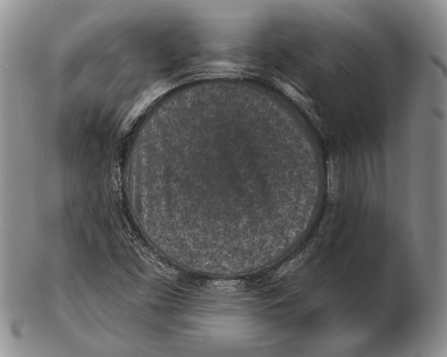 X0000102361453200808221705