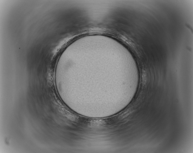 X0000102361454200808221705