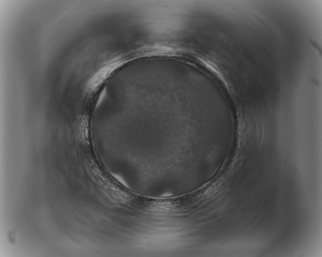 X0000102361455200808221705