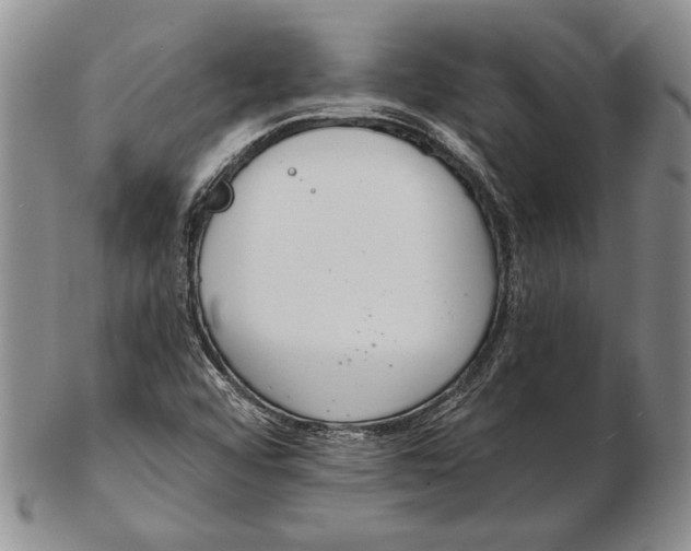 X0000102361456200808221705