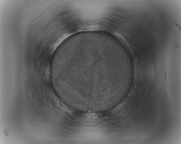 X0000102361457200808221705