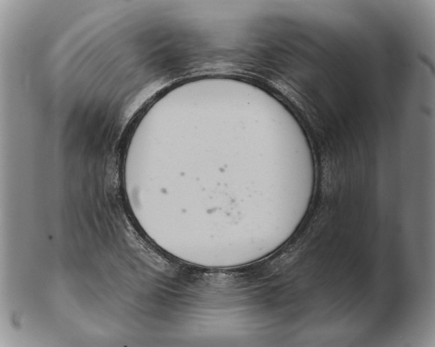 X0000102361458200808221705