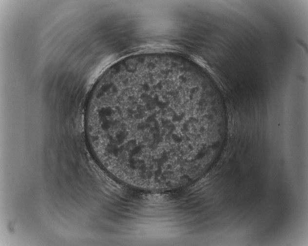 X0000102361459200808221705