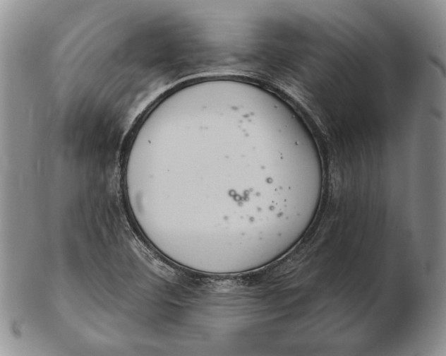 X0000102361460200808221705