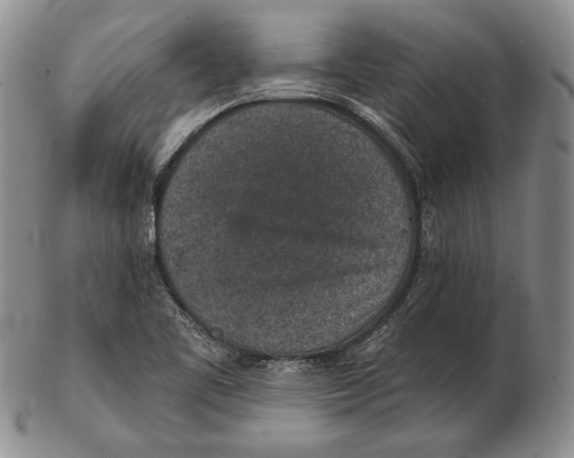 X0000102361461200808221705