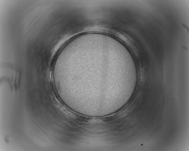 X0000102361462200808221705