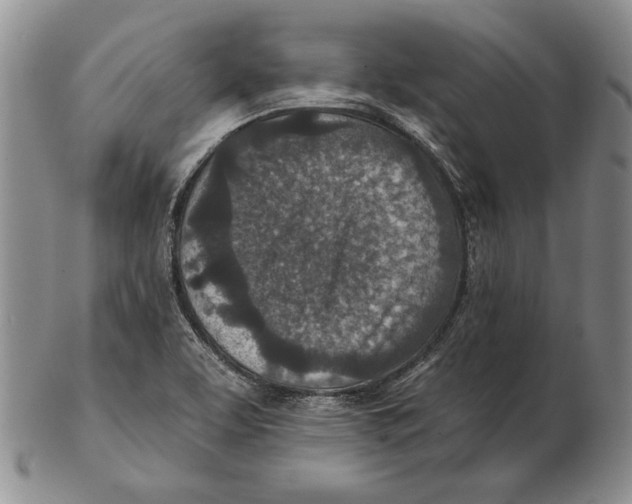 X0000102361463200808221705