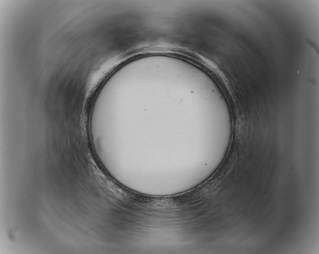 X0000102361464200808221705