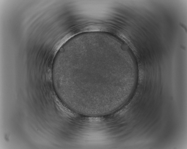 X0000102361465200808221705