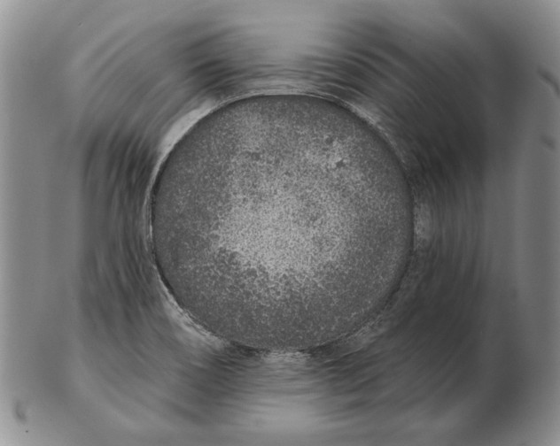 X0000102361466200808221705