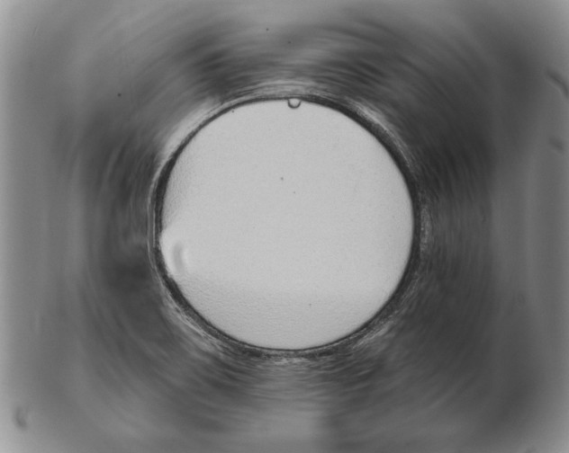 X0000102361467200808221705