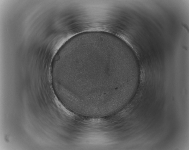 X0000102361468200808221705