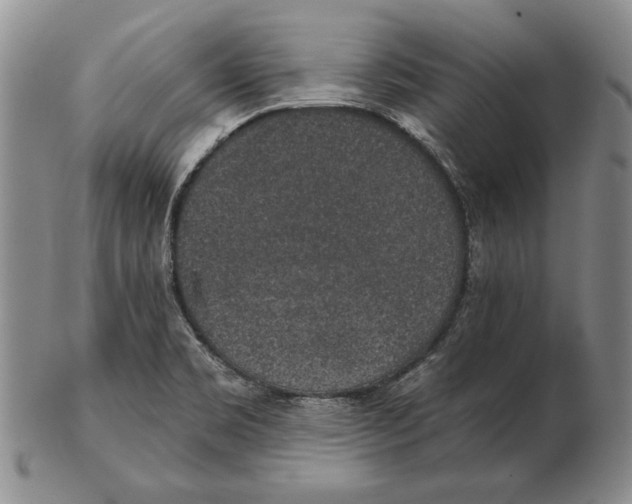 X0000102361469200808221705