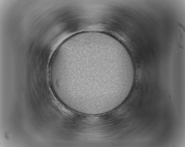 X0000102361470200808221705