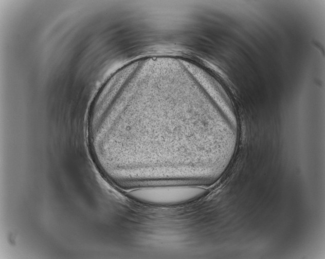 X0000102361471200808221705