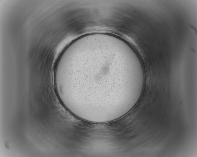 X0000102361472200808221705