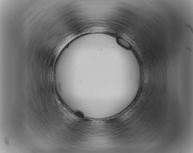 X0000102361473200808221705