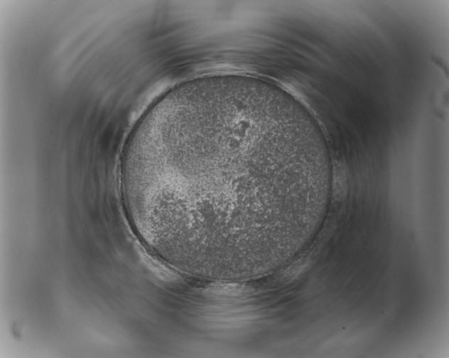 X0000102361474200808221705