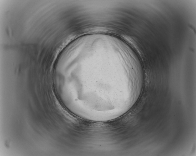 X0000102361475200808221705