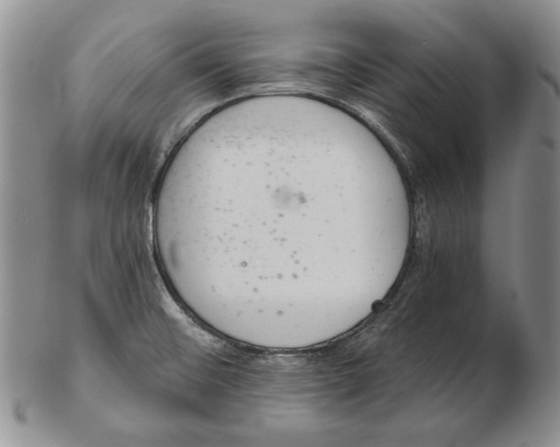 X0000102361476200808221705