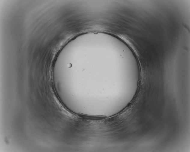 X0000102361477200808221705