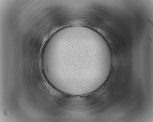 X0000102361478200808221705