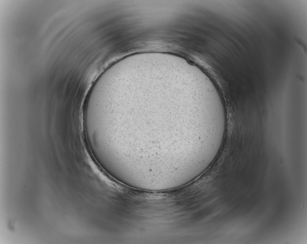 X0000102361479200808221705