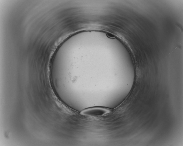 X0000102361480200808221705