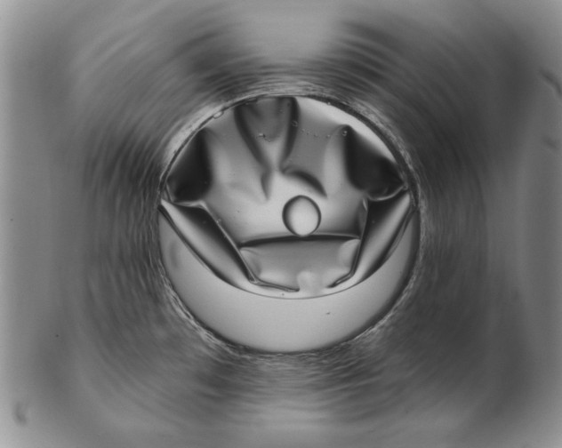 X0000102361481200808221705