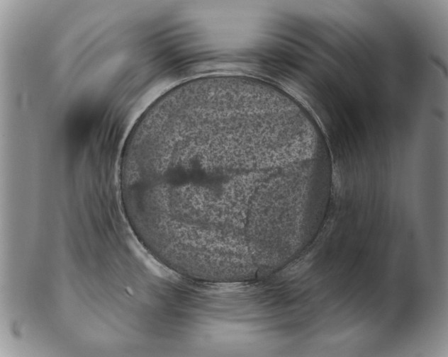 X0000102361482200808221705