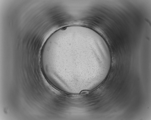 X0000102361483200808221705