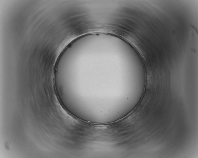 X0000102361484200808221705