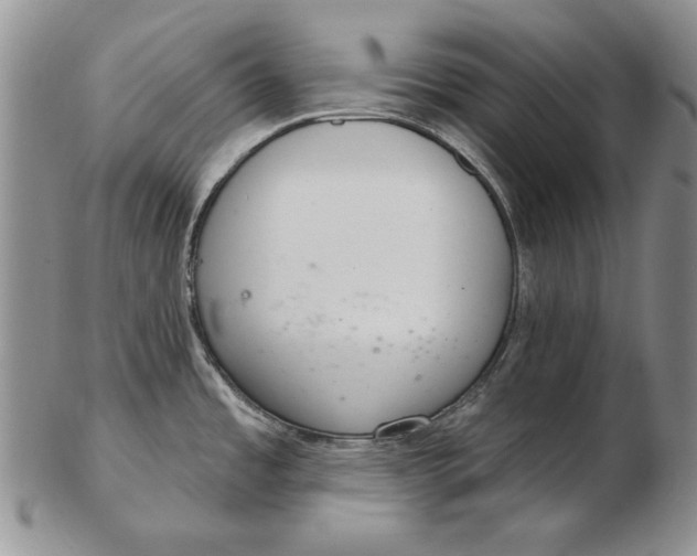 X0000102361485200808221705