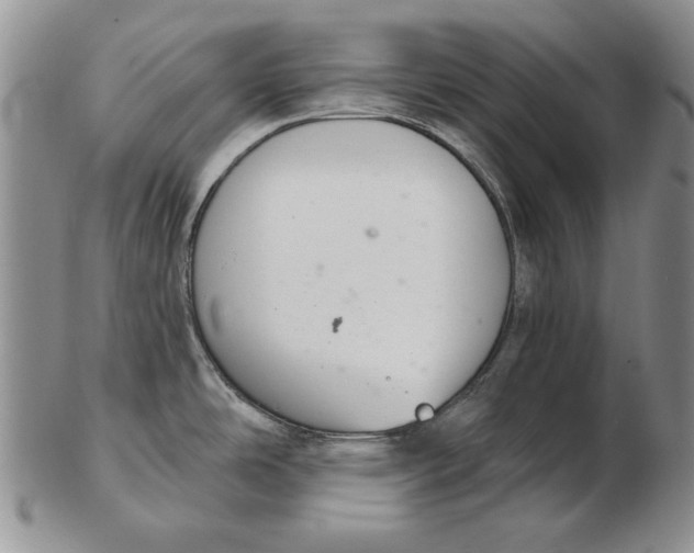 X0000102361486200808221705