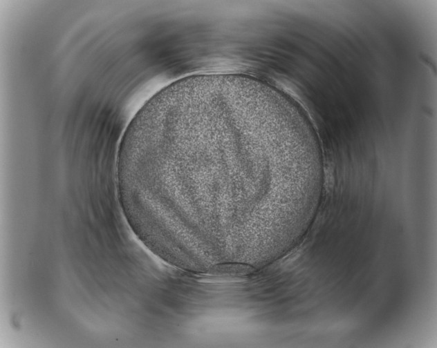 X0000102361487200808221705