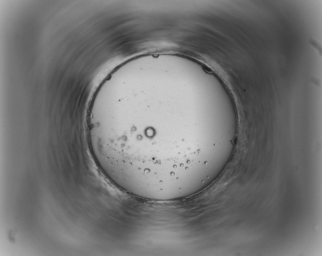 X0000102361488200808221705