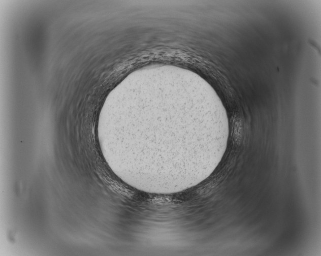 X0000102361489200808221704