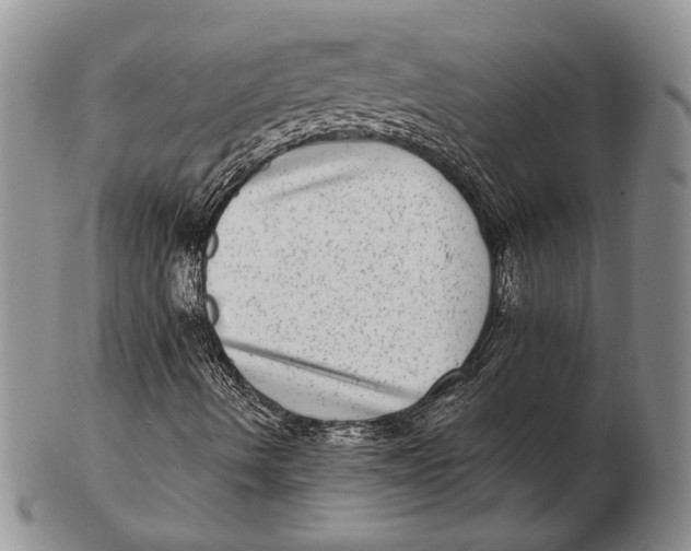 X0000102361490200808221704