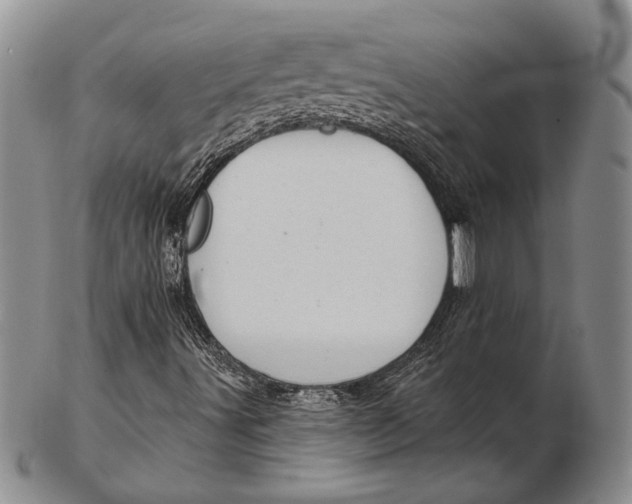 X0000102361491200808221704