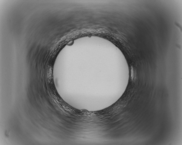 X0000102361492200808221704