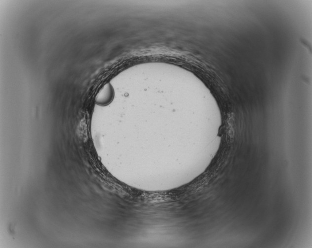 X0000102361493200808221704