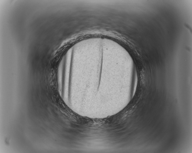 X0000102361494200808221704