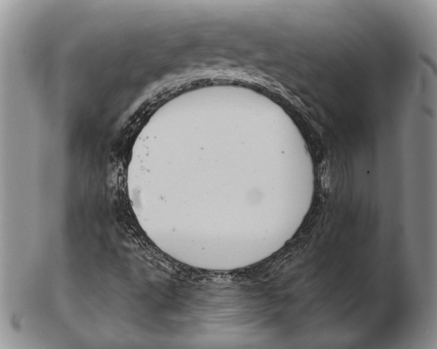 X0000102361495200808221704