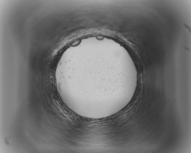 X0000102361496200808221704