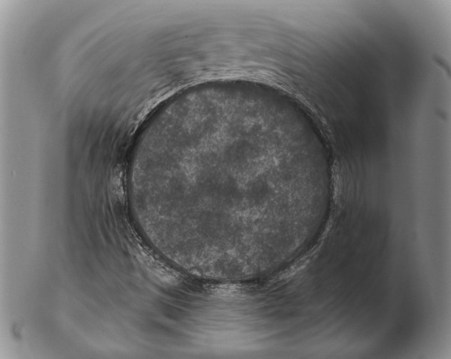 X0000102361497200808221704