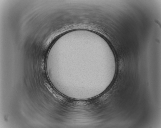 X0000102361499200808221704